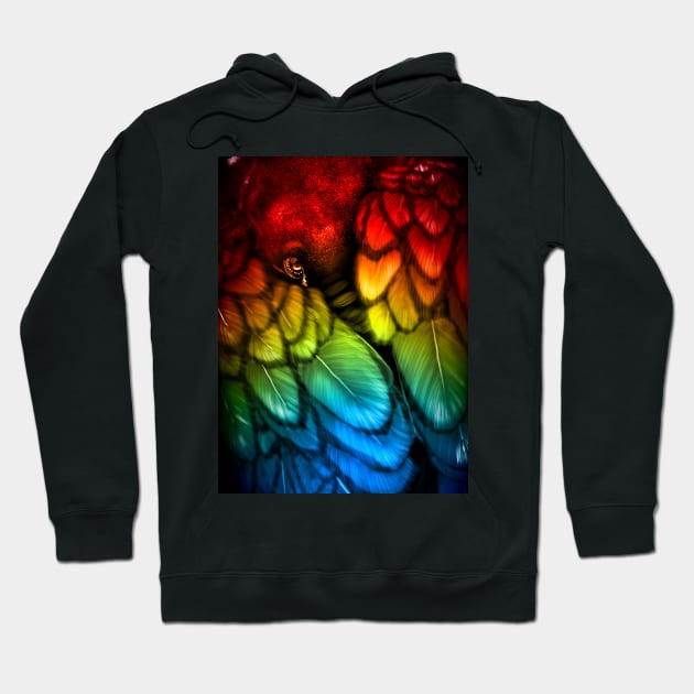 Blackbird - Rainbow Edition Hoodie by dextrahoffman